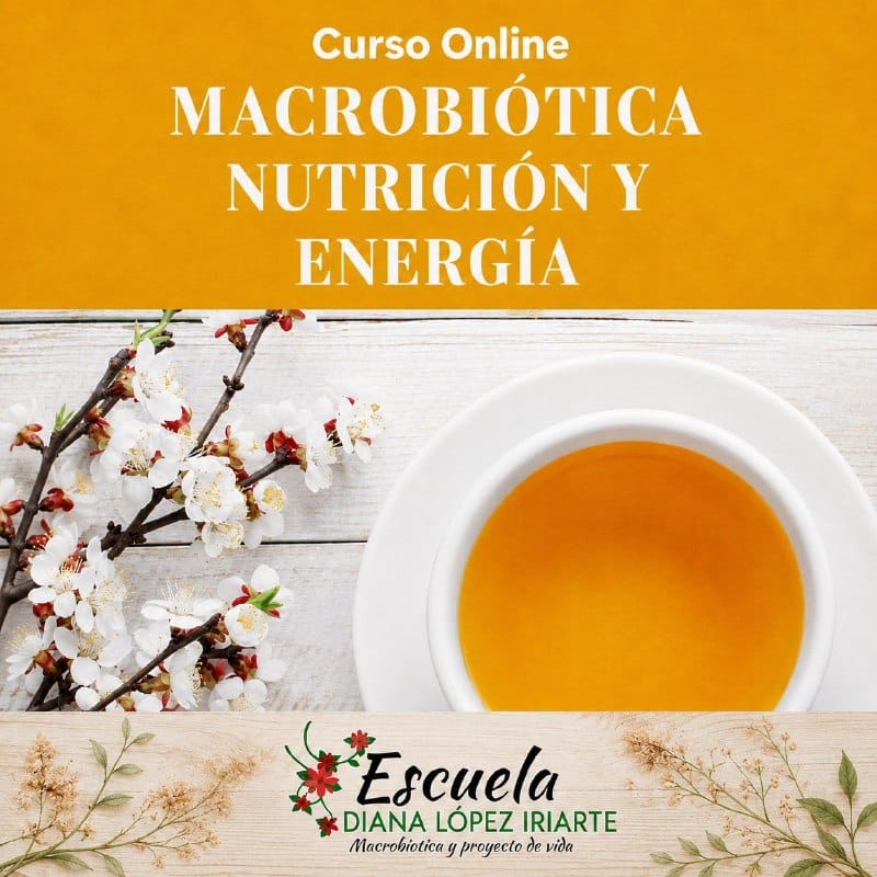 Curso de AlimentaciónNutrición y Energía Diana Lopez